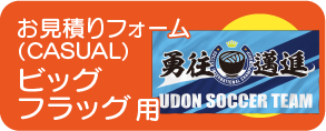 ビッグフラッグお見積り